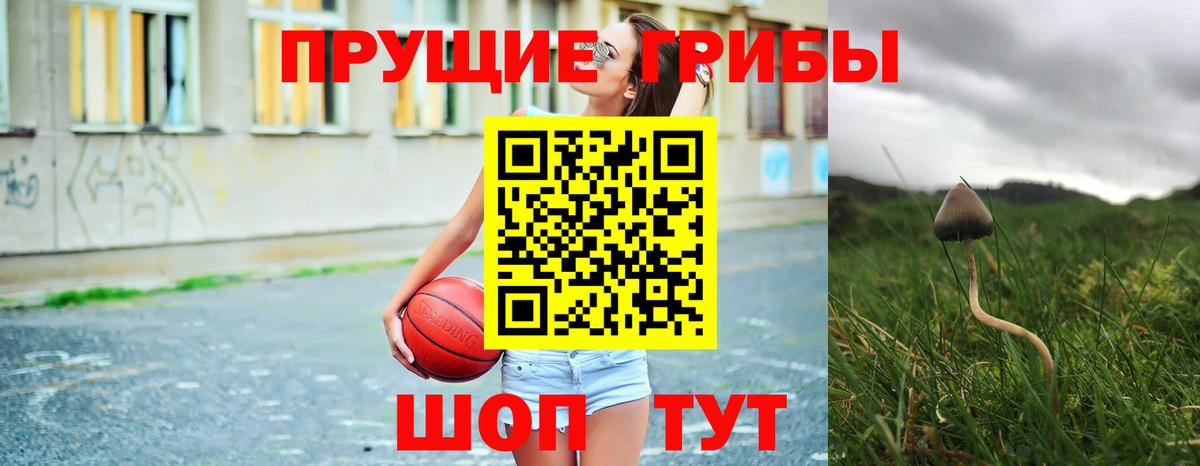 Псилоцибиновые грибы ЛСД  Вход с VPN  Москва  Псилоцибиновые грибы мухоморы 